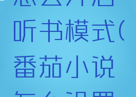 番茄小说怎么开启听书模式(番茄小说怎么设置听书模式)