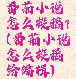 番茄小说怎么投稿?(番茄小说怎么投稿给编辑)