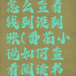 番茄小说怎么查看钱到没到账(番茄小说如何查看阅读书籍)