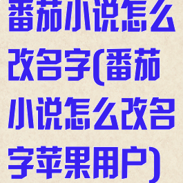 番茄小说怎么改名字(番茄小说怎么改名字苹果用户)
