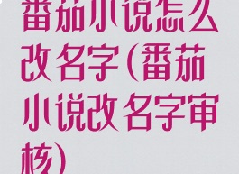 番茄小说怎么改名字(番茄小说改名字审核)