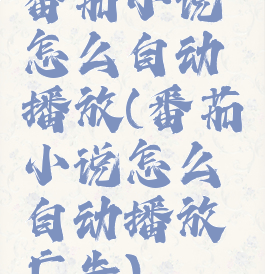 番茄小说怎么自动播放(番茄小说怎么自动播放广告)