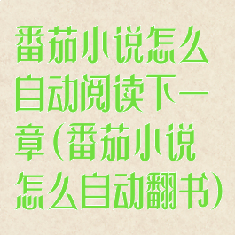 番茄小说怎么自动阅读下一章(番茄小说怎么自动翻书)