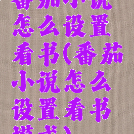 番茄小说怎么设置看书(番茄小说怎么设置看书模式)