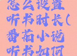 番茄小说怎么设置听书时长(番茄小说听书如何设置声音)