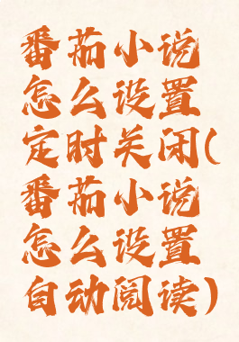 番茄小说怎么设置定时关闭(番茄小说怎么设置自动阅读)