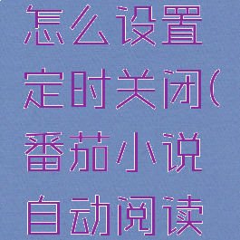 番茄小说怎么设置定时关闭(番茄小说自动阅读计时吗)