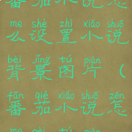 番茄小说怎么设置小说背景图片(番茄小说怎么配图片)