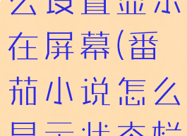 番茄小说怎么设置显示在屏幕(番茄小说怎么显示状态栏)