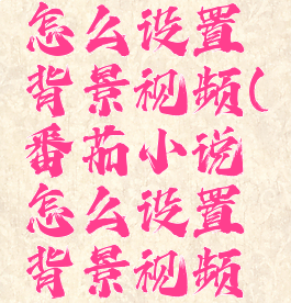 番茄小说怎么设置背景视频(番茄小说怎么设置背景视频下载)