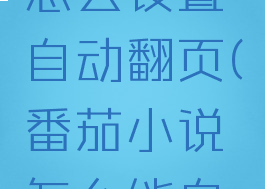 番茄小说怎么设置自动翻页(番茄小说怎么能自动阅读)