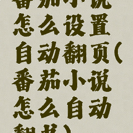 番茄小说怎么设置自动翻页(番茄小说怎么自动翻书)
