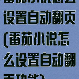 番茄小说怎么设置自动翻页(番茄小说怎么设置自动翻页功能)