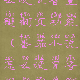 番茄小说怎么设置音量键翻页功能(番茄小说怎么设置音量键翻页功能呢)