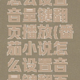 番茄小说怎么设置音量键翻页播放(番茄小说怎么设置音量键翻页播放声音)