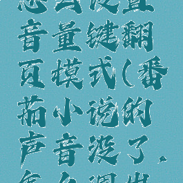 番茄小说怎么设置音量键翻页模式(番茄小说的声音没了,怎么调出来)