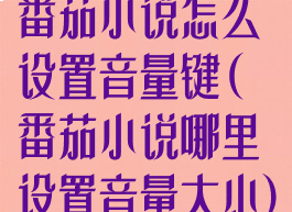 番茄小说怎么设置音量键(番茄小说哪里设置音量大小)