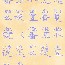 番茄小说怎么设置音量键(番茄小说怎么设置语音)