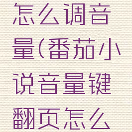番茄小说怎么调音量(番茄小说音量键翻页怎么设置)