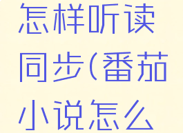 番茄小说怎样听读同步(番茄小说怎么听读)