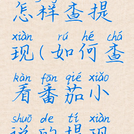 番茄小说怎样查提现(如何查看番茄小说的提现记录)