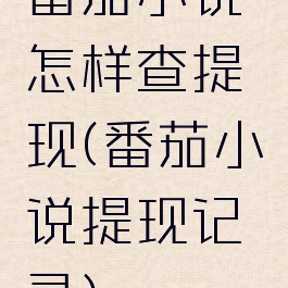 番茄小说怎样查提现(番茄小说提现记录)