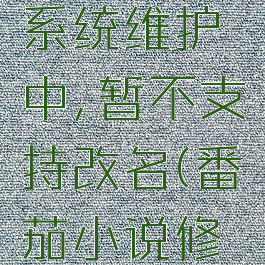 番茄小说改昵称说系统维护中,暂不支持改名(番茄小说修改审核要多久)