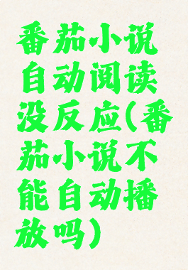 番茄小说自动阅读没反应(番茄小说不能自动播放吗)