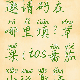 番茄小说邀请码在哪里填?苹果(ios番茄小说邀请码)