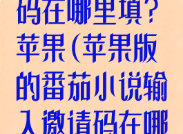 番茄小说邀请码在哪里填?苹果(苹果版的番茄小说输入邀请码在哪里?)