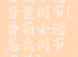 番茄小说音量调节(番茄小说怎么调节音量)