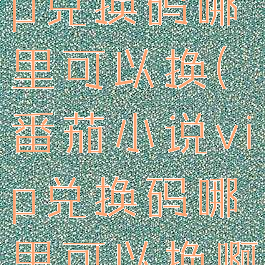 番茄小说vip兑换码哪里可以换(番茄小说vip兑换码哪里可以换啊)