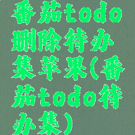 番茄todo删除待办集苹果(番茄todo待办集)