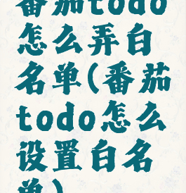 番茄todo怎么弄白名单(番茄todo怎么设置白名单)