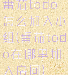 番茄todo怎么加入小组(番茄todo在哪里加入房间)