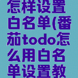 番茄todo怎样设置白名单(番茄todo怎么用白名单设置教程)
