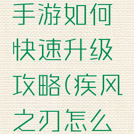 疾风之刃手游如何快速升级攻略(疾风之刃怎么升级快)