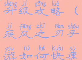 疾风之刃手游如何快速升级攻略(疾风之刃手游如何快速升级攻略图文)