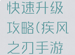 疾风之刃手游如何快速升级攻略(疾风之刃手游怎么提升战力)