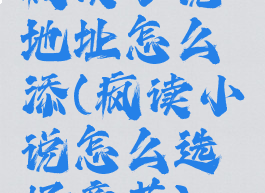 疯读小说地址怎么添(疯读小说怎么选择章节)