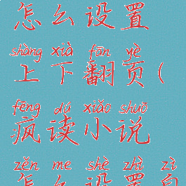 疯读小说怎么设置上下翻页(疯读小说怎么设置自动翻页)