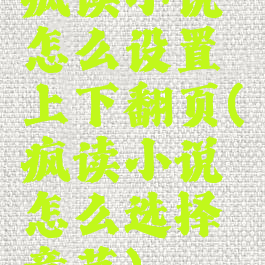 疯读小说怎么设置上下翻页(疯读小说怎么选择章节)