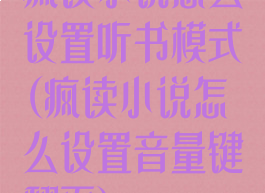 疯读小说怎么设置听书模式(疯读小说怎么设置音量键翻页)