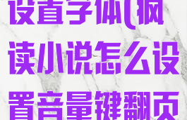 疯读小说怎么设置字体(疯读小说怎么设置音量键翻页)