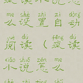 疯读小说怎么设置自动阅读(疯读小说怎么设置听书)