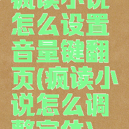 疯读小说怎么设置音量键翻页(疯读小说怎么调整字体)