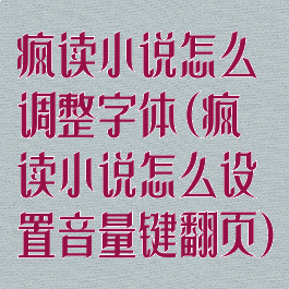 疯读小说怎么调整字体(疯读小说怎么设置音量键翻页)
