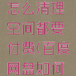 百度网盘怎么清理空间都要付费(百度网盘如何清理内存)