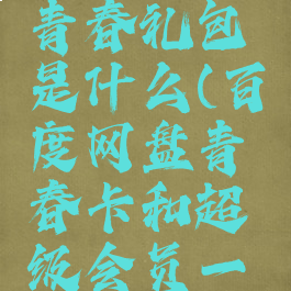 百度网盘青春礼包是什么(百度网盘青春卡和超级会员一样吗)