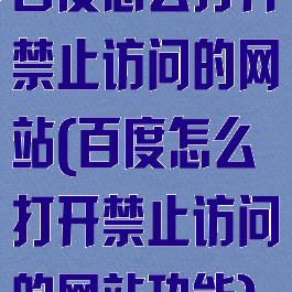 百度怎么打开禁止访问的网站(百度怎么打开禁止访问的网站功能)